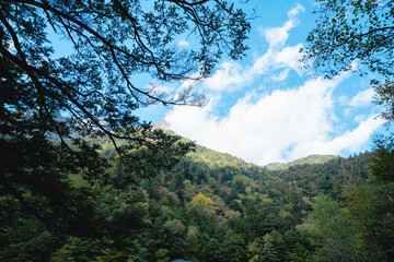 上高地の明神池