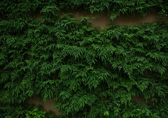 Lush Green Foliage Covering a Textured Wall, Creating a Natural Tapestry.