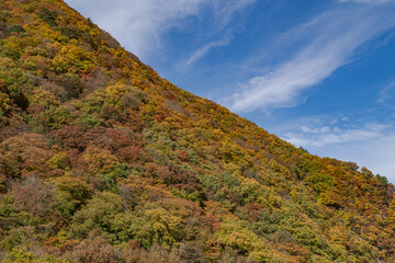 秋の青空と錦に染まる山