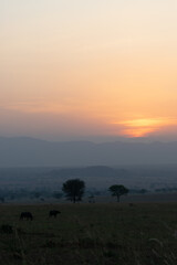 Endless Beauty: Sunset in the Heart of Uganda’s Wilderness