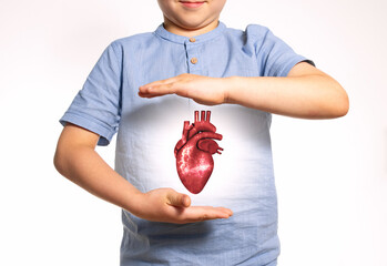 Boy holds a realistic human heart model between his palms. Concept of heart health, medical care,...