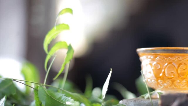 Neem and Honey Ingredients of Ayurvedic Treatment: Neem, Neem Leaves, Neem Paste, Turmeric, Clove, Honey, Bark, and Water