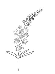 Hand draw flower  vector , doodle flower vector