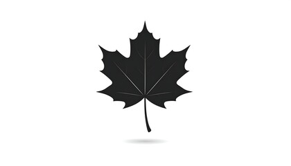 Silhouette of a maple leaf, black on white background, with a shadow