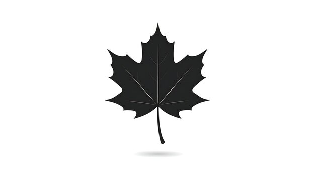 Silhouette of a maple leaf, black on white background, with a shadow