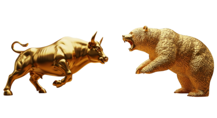 Golden bull charges towards an angry bear in this dynamic financial market concept illustration.