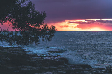 sunset over the sea in istria, croatia, with waves and dramatic clouds and a tree in the foreground