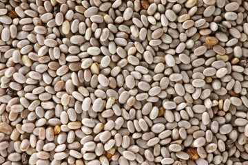 チアシードのアップ