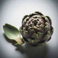 Obraz premium Close-up of a vibrant raw green and purple artichoke on white