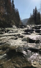 High Mountain River In The Carpathians