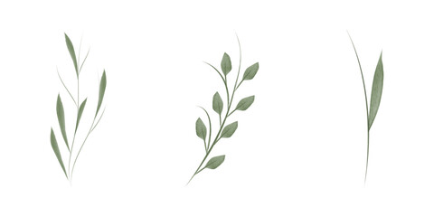 Three watercolor illustrations depict different styles of green flower stems on a white background. They include stems with leaves and simple green blades.