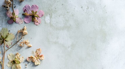 Handmade background with pressed spring flowers and light green paper, soft pastel tones, delicate natural textures, daylight from the side, space