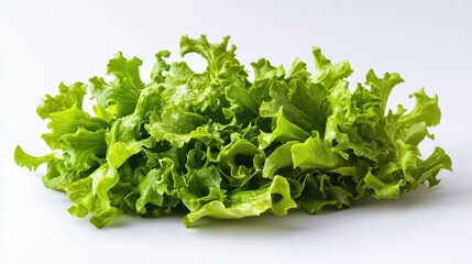 Fresh green lettuce arranged neatly on a white background ready for use in salads or sandwiches