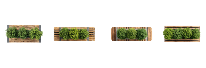 Top View Of Wooden Planters With Green Shrubs Set. Urban Gardening And Landscaping Design Collection Isolated On Transparent Background