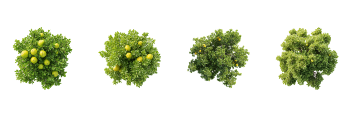 Lush Green Fruit Trees Top View Set. Nature And Agriculture Collection Isolated On Transparent Background