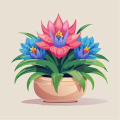 Potted bromeliad flowers in bloom