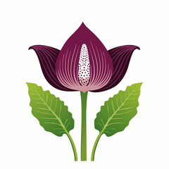 Purple flower with green leaves isolated