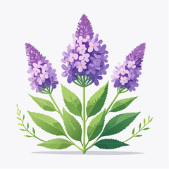 Purple floral sprigs with green leaves