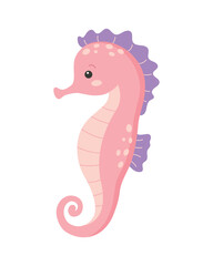 Cute seahorse isolated on white background