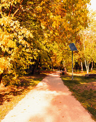 Landscape of city park with solar panel in autumn. Novi Sad, Serbia.