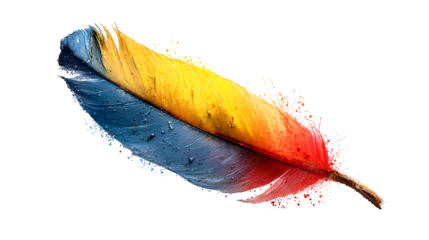 blue and yellow feather