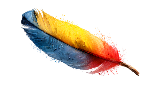 blue and yellow feather