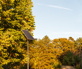 Landscape of city park with solar panel in autumn. Novi Sad, Serbia.