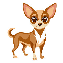 chihuahua purebred dog full body, vector illustration