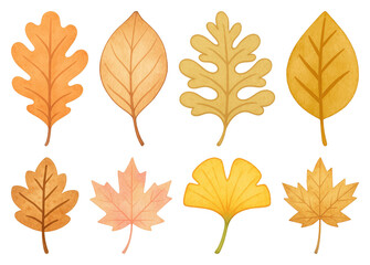 PNG Colorful autumn leaves illustration, element set on transparent background