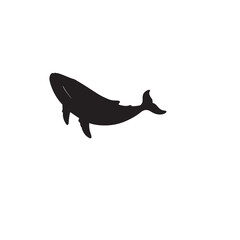 Whale Silhouette