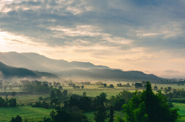 Obraz premium Beautiful view of morning light hitting fog, mountains, trees and green rice fields in the countryside in Chiang Rai. Northern Thailand.