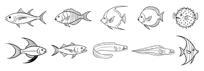 Collection of hand drawn artistic line art illustrations of various tropical fish and marine life © ABID