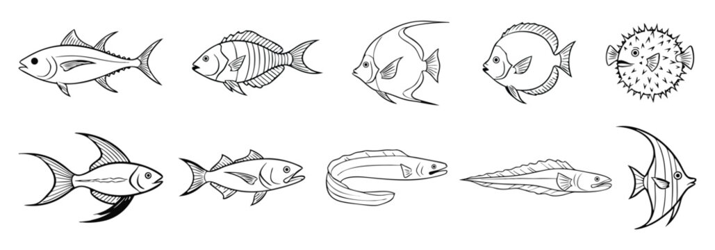 Collection of hand drawn artistic line art illustrations of various tropical fish and marine life