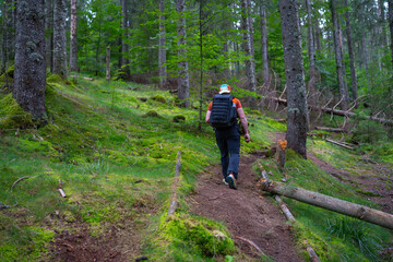 Fototapeta premium Hiker on forest trail in Apuseni