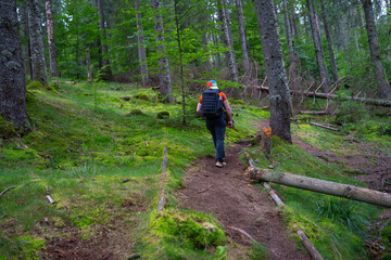 Fototapeta premium Hiker on forest trail in Apuseni