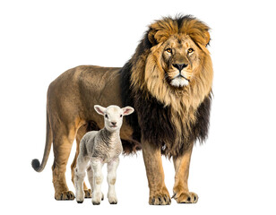 Obraz premium A lion and a lamb are standing next to each other on a transparent background