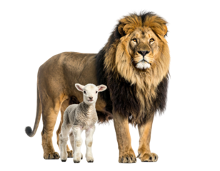 A lion and a lamb are standing next to each other on a transparent background