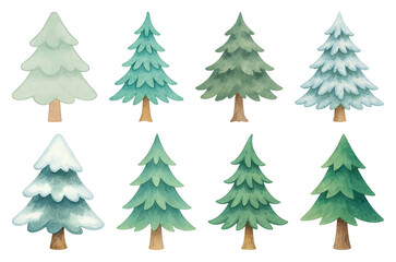 Obraz premium PNG Watercolor evergreen trees illustration, element set on transparent background