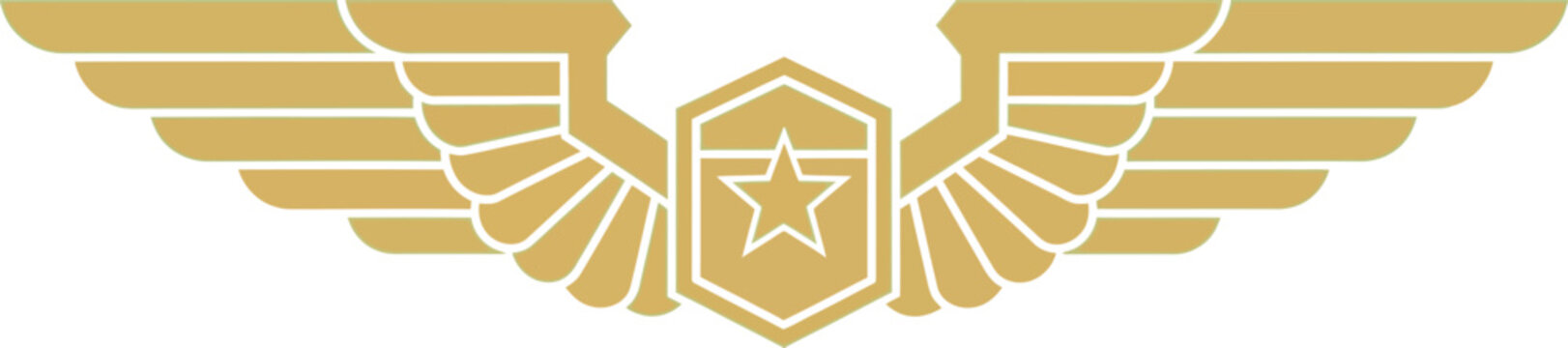 Vector art of military aviation badge or pilot wings with a star on a green background