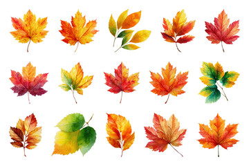 Fototapeta premium PNG Vibrant watercolor autumn leaves collection, element set on transparent background