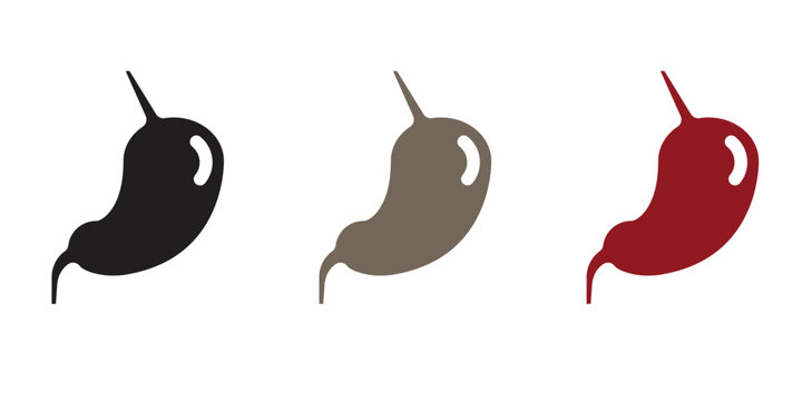 Human Stomach Organ and Digestion Icon Set