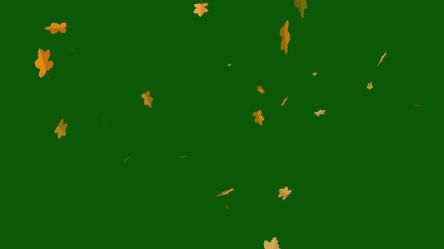 Autumn leaves falling on green screen background in 4K resolution