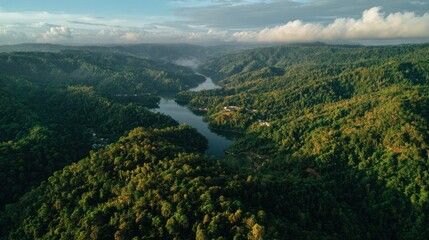 Lush Green Forested Valley with River Under Blue Sky and Cloud Cover