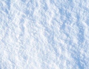 Fototapeta premium Frosted Winter Background with Snow Texture and Cool Natural Tone