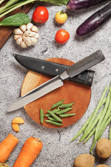 photo of a kitchen knife specifically for cutting vegetables and fruit, mirror and satin knife material