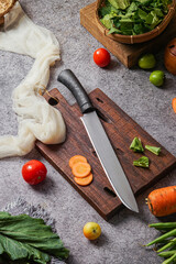 photo of a kitchen knife specifically for cutting vegetables and fruit, mirror and satin knife material