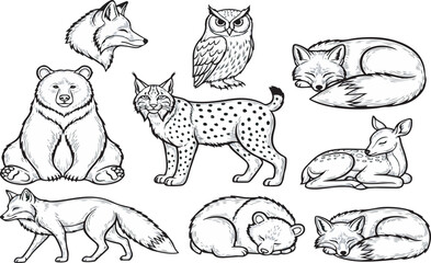 Black and white sketch collection of wild woodland animals bear, fox, lynx, and owl.