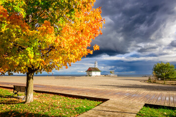 autumn landscape with trees beach and accesible wooden boardwalk shot on Kew Beach Toronto in October with dramatic clouds in background
