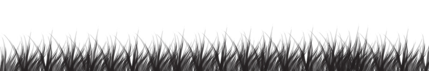 Black and white grass silhouette on white background, ideal for nature design, landscape illustration, eco-themed branding, posters, web design, and environmental graphic compositions.