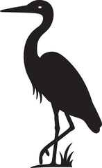 Obraz premium The hawk is gathering food. বক পাখি